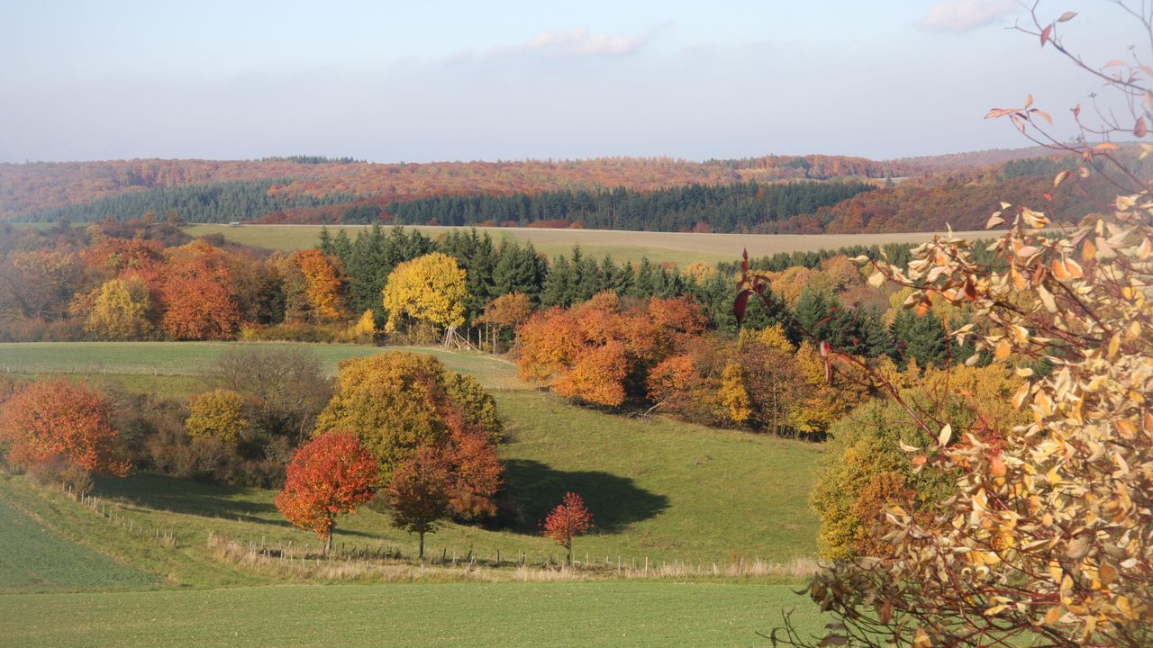 Herbstimpression Herbstimpression